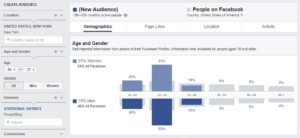 Facebook Audience Demographics