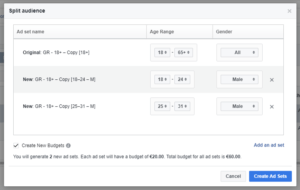 Split audience options Facebook Ads Manager